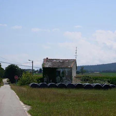 Vila A Casa Do Rodenas *